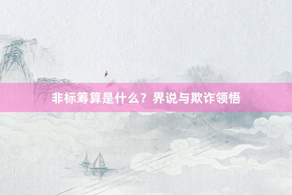 非标筹算是什么？界说与欺诈领悟